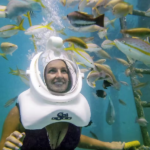 Seatrek De Palm Island