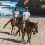 Wariruri Beach – Morning Tour